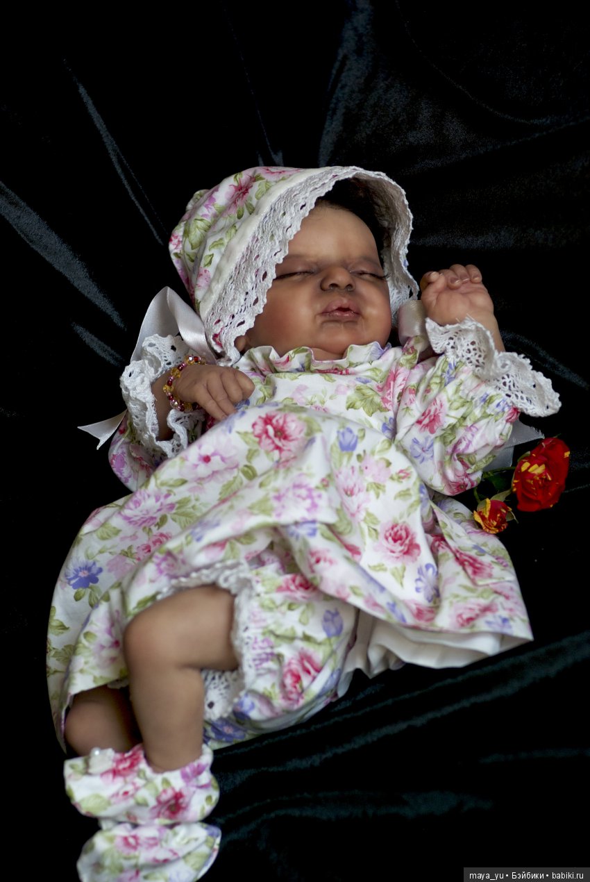 Темнокожая сплюшечка Америкус