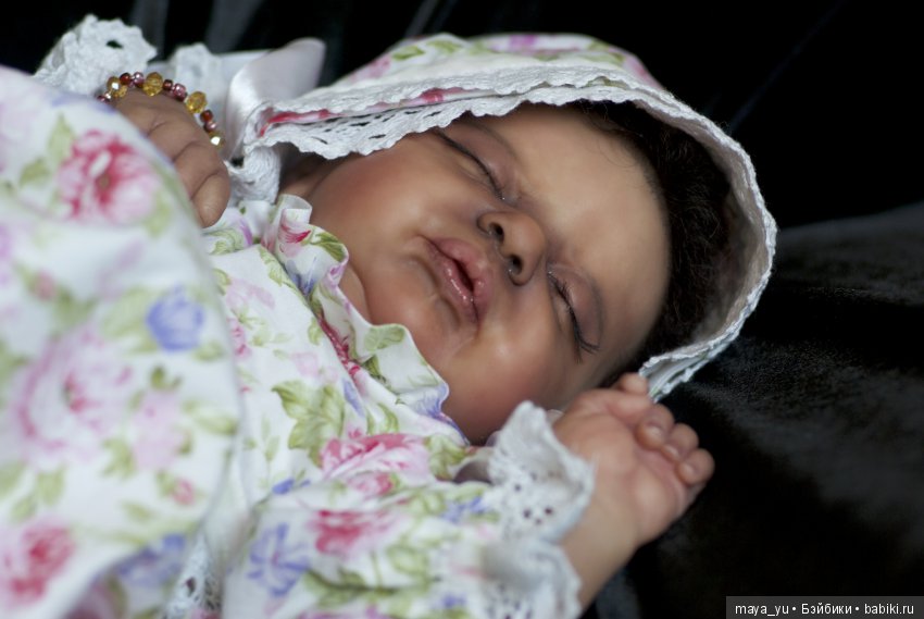 Темнокожая сплюшечка Америкус