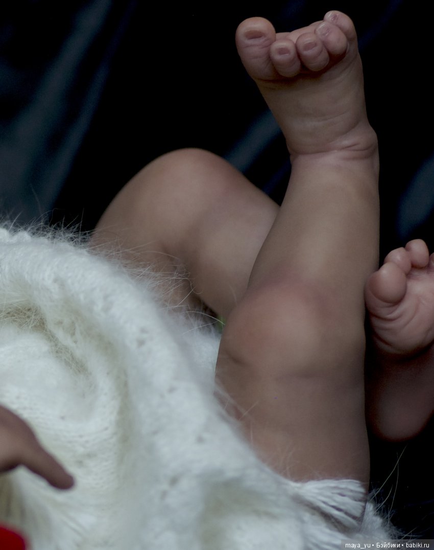 Темнокожая сплюшечка Америкус