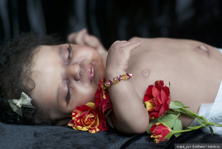 Темнокожая сплюшечка Америкус