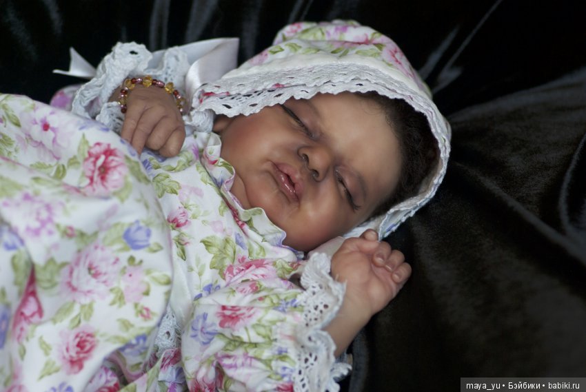 Темнокожая сплюшечка Америкус