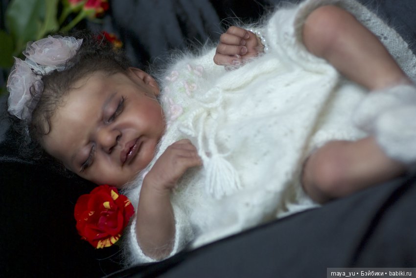 Темнокожая сплюшечка Америкус (фото 4)