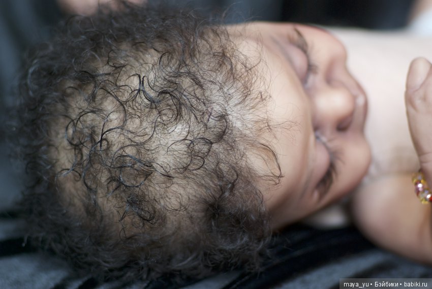 Темнокожая сплюшечка Америкус