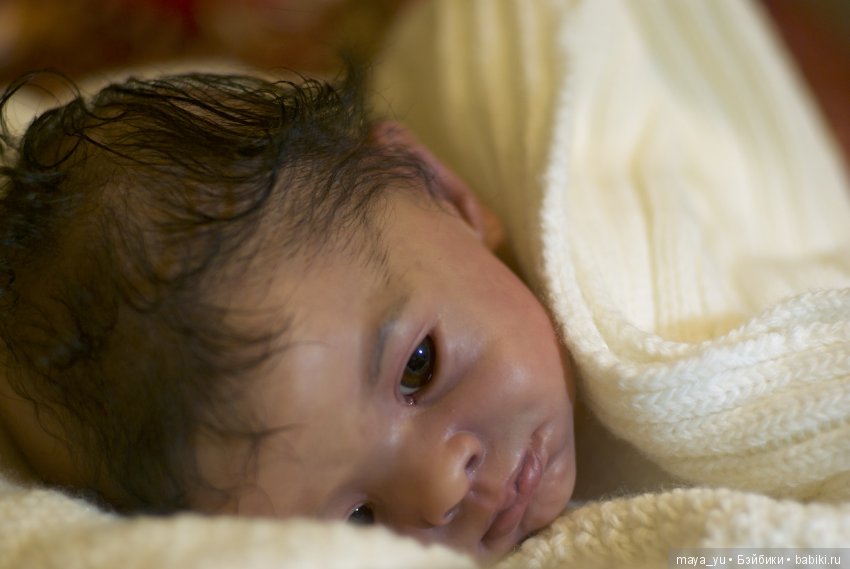 Мои две Розочки и один Макари (фото 2)