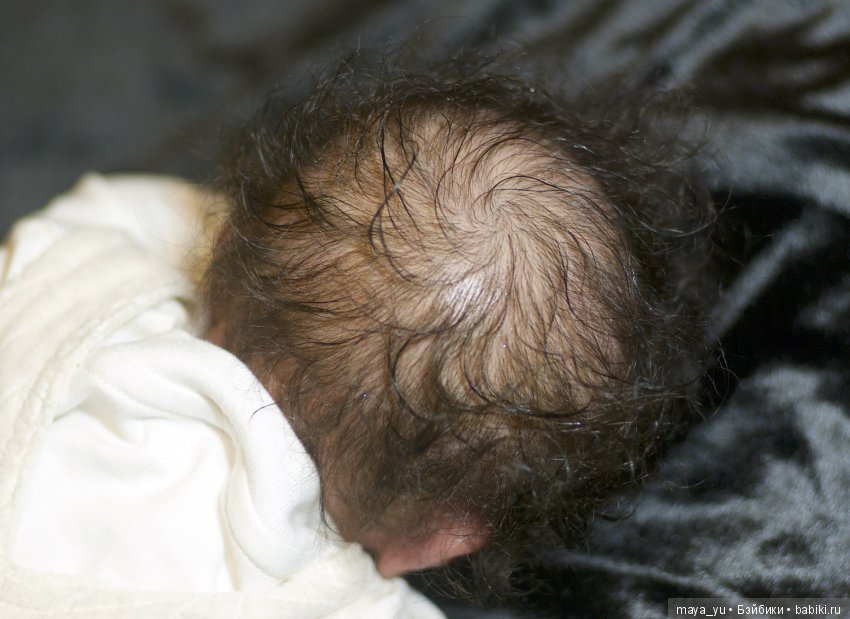 Мои две Розочки и один Макари (фото 9)