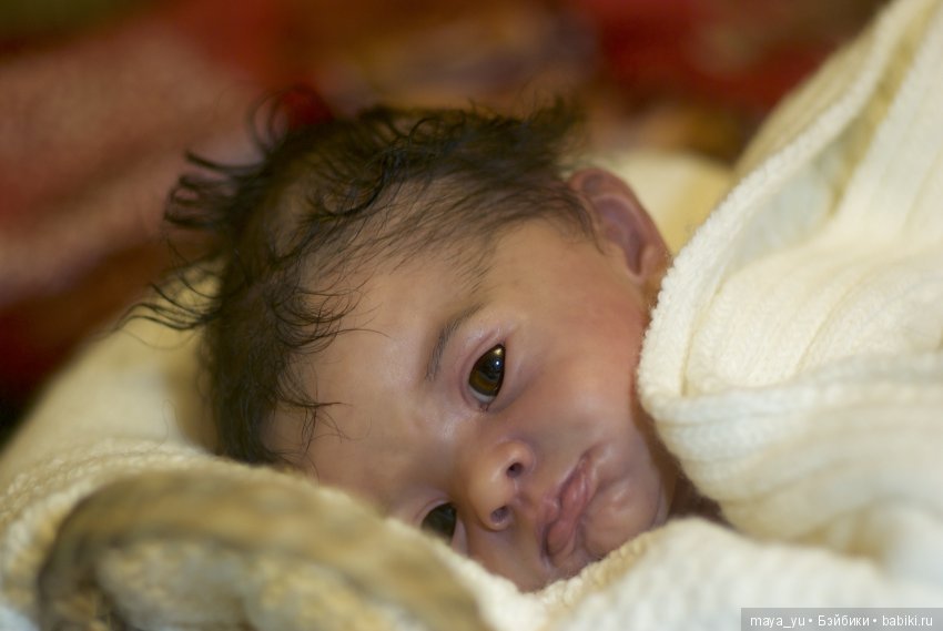 Мои две Розочки и один Макари (фото 3)