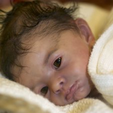 Мои две Розочки и один Макари