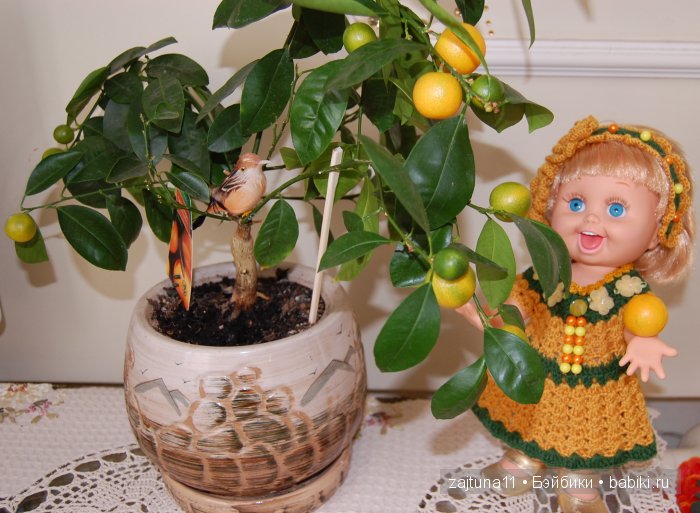 Мои куклены Galoob baby face