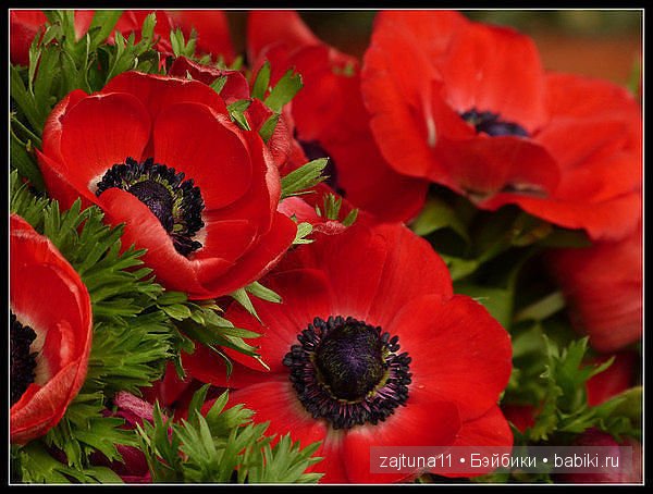 Мои вязанные сумочки — Другие хобби и увлечения: сад