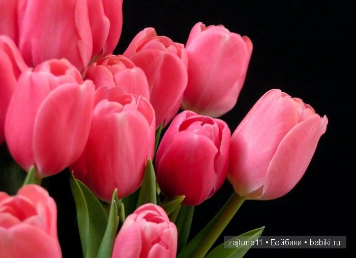 Розовый топик одежда для Паола Рейна (фото 2)