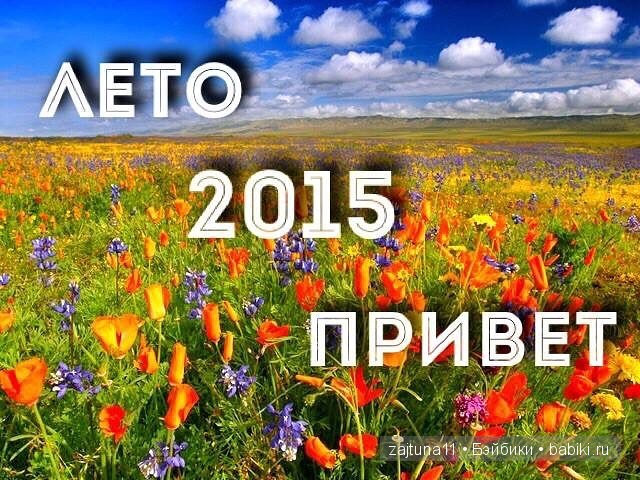 Розовый топик одежда для Паола Рейна