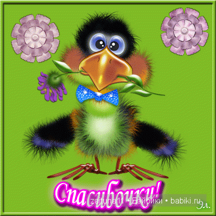 Розовый топик одежда для Паола Рейна