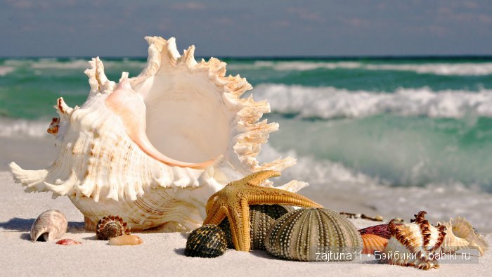 САРАФАННОЕ ЛЕТО одежда для Паола Рейна (фото 7)