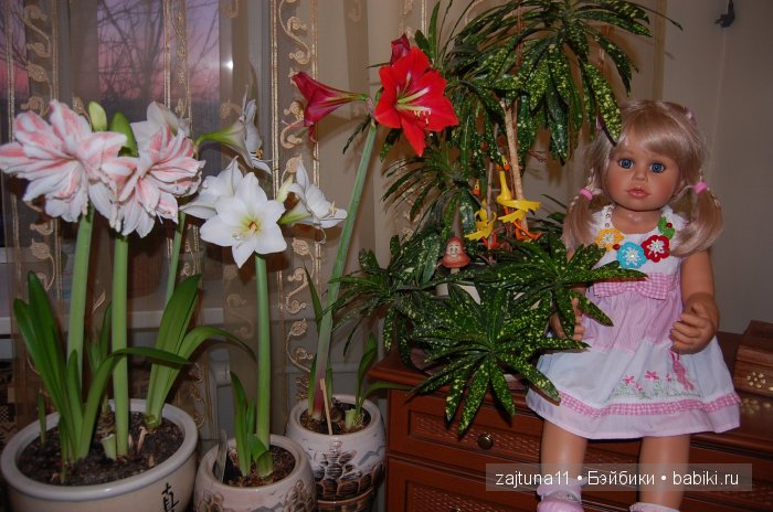 Моя слабость цветы и куклы