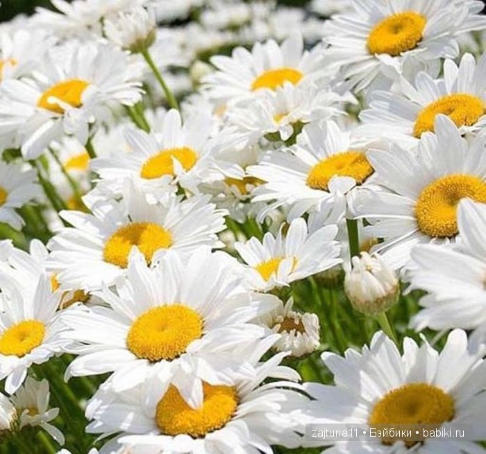 Наши переодевалочки !!!номер 2 | Бэйбики Наши переодевалочки !!!номер 2