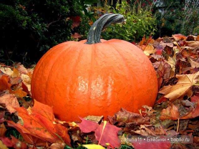 Наши переодевалочки !!!номер 2 | Бэйбики Наши переодевалочки !!!номер 2