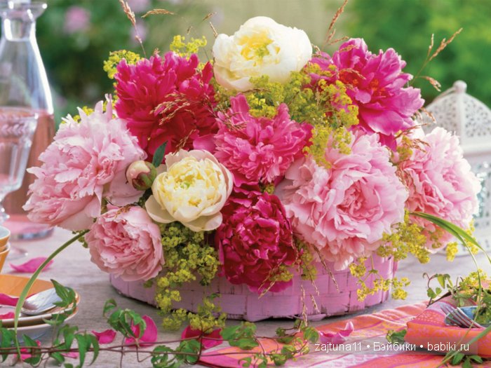 Наши переодевалочки !!!номер 2 | Бэйбики Наши переодевалочки !!!номер 2