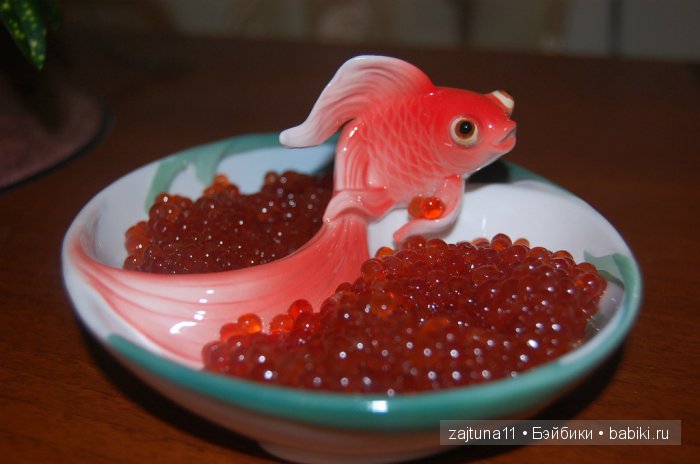 Мои помощницы куклы ГОТЦ — Одежда и обувь для кукол своими руками: фото