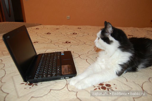 Наш питомец Максим — Болталка и разговоры обо всем: жизнь (фото 4)