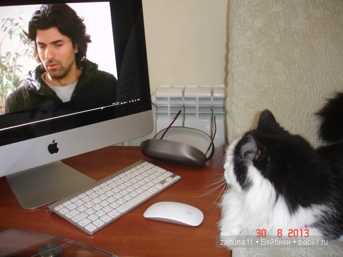 Наш питомец Максим — Болталка и разговоры обо всем: жизнь