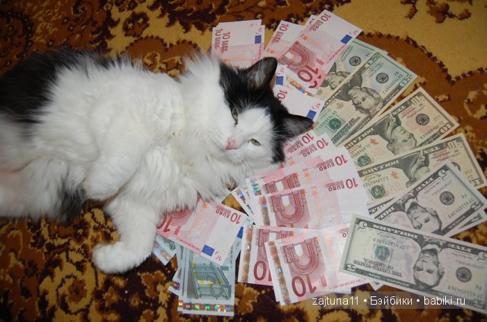 Наш питомец Максим — Болталка и разговоры обо всем: жизнь (фото 8)