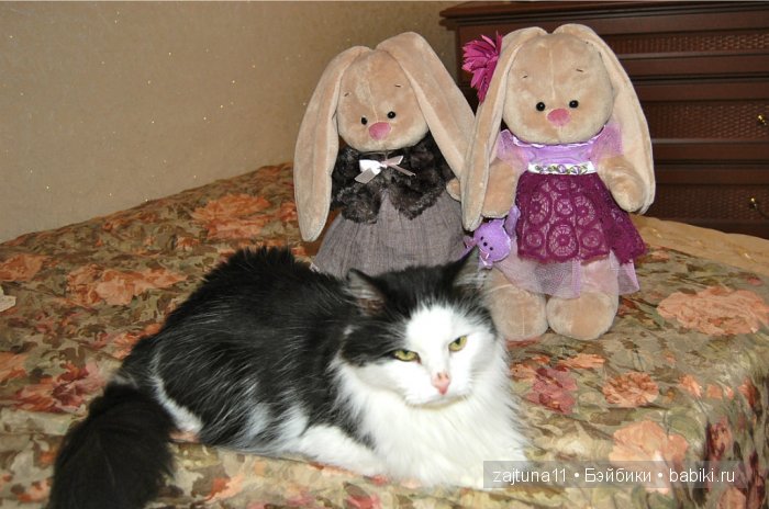 Наш питомец Максим — Болталка и разговоры обо всем: жизнь (фото 6)