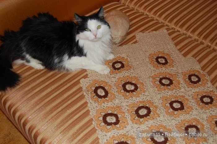 Наш питомец Максим — Болталка и разговоры обо всем: жизнь