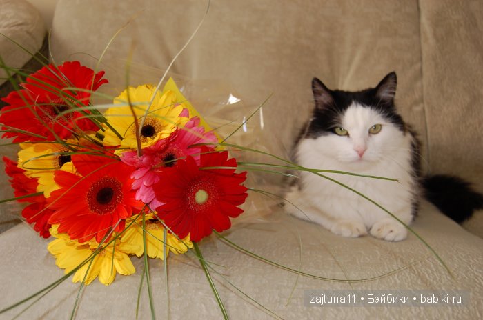 Наш питомец Максим — Болталка и разговоры обо всем: жизнь