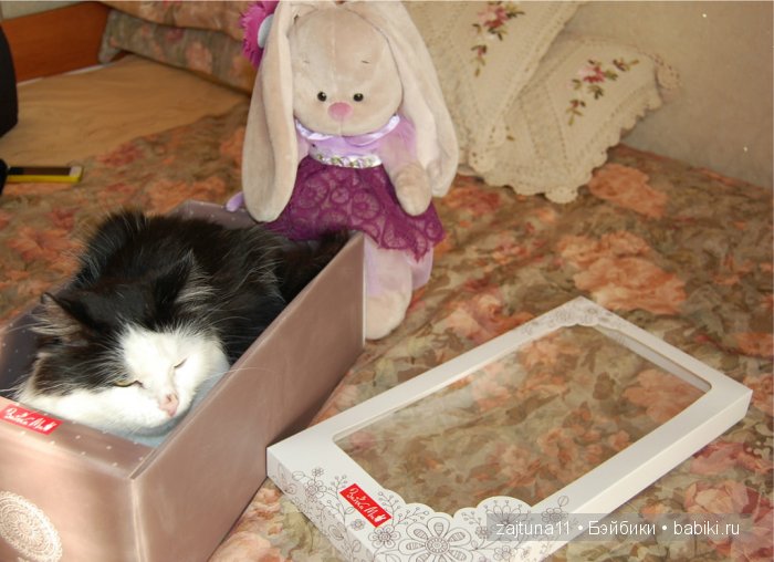 Наш питомец Максим — Болталка и разговоры обо всем: жизнь (фото 7)