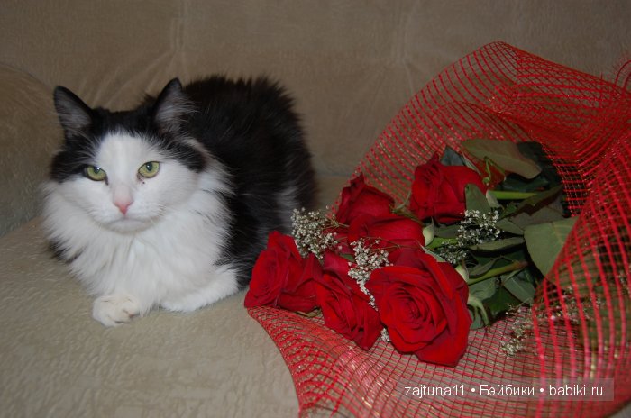 Наш питомец Максим — Болталка и разговоры обо всем: жизнь