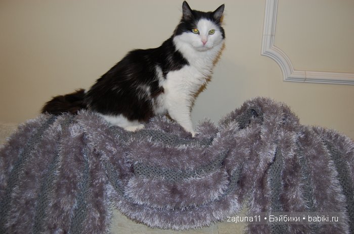 Наш питомец Максим — Болталка и разговоры обо всем: жизнь