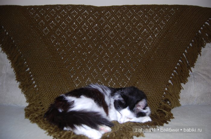 Наш питомец Максим — Болталка и разговоры обо всем: жизнь