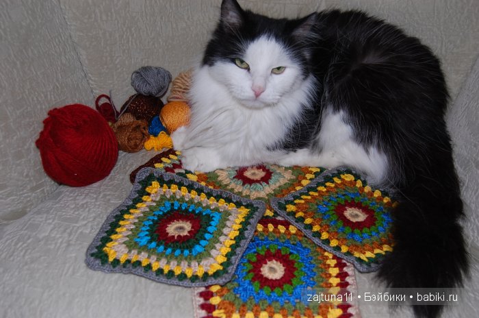 Наш питомец Максим — Болталка и разговоры обо всем: жизнь (фото 9)