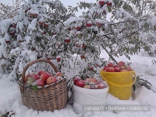 ТЕПЛЫЙ ТОПИК одежда для кукол ГОТЦ