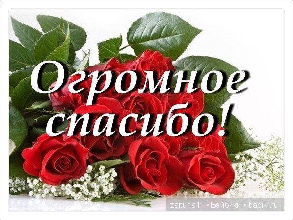 Надюша Готц в цветах — Куклы Gotz (Готц): Ханна