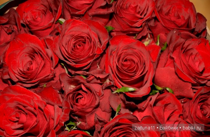 Надюша Готц в цветах — Куклы Gotz (Готц): Ханна