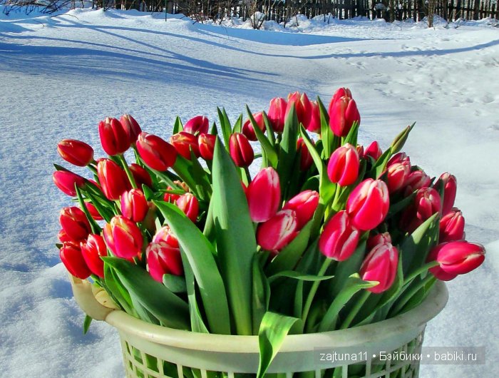 Весенние Фейсиночки !!!куклы Galoob Baby Face dolls | Бэйбики Весенние Фейсиночки !!!куклы Galoob Baby Face dolls