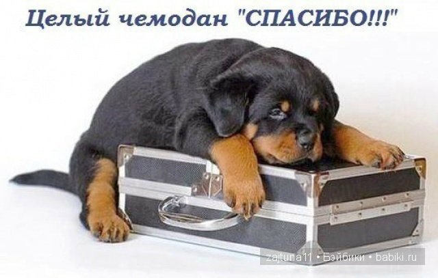 Весенние наряды для моих кукол - девочки в голубом/ Galoob Baby Face dolls