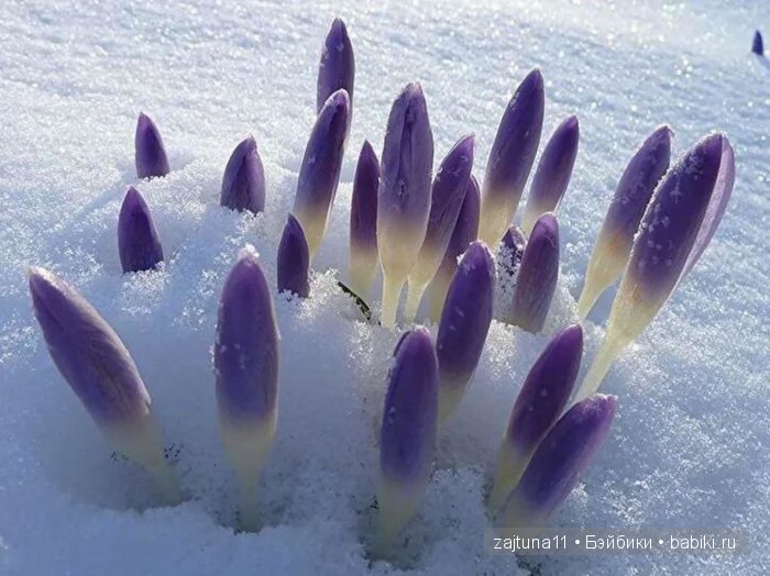 Весенние наряды для моих кукол - девочки в голубом/ Galoob Baby Face dolls