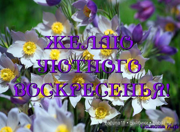 https://s1.babiki.ru/uploads/images/02/56/29/2016/09/04/b6d5e2.jpg