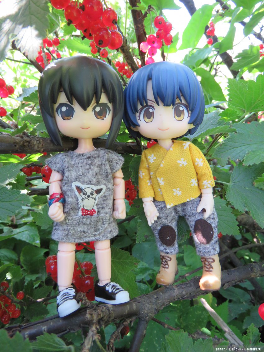 Перевоплощение Саюри — Куклы и тела Obitsu 11 (Ob11): гибриды