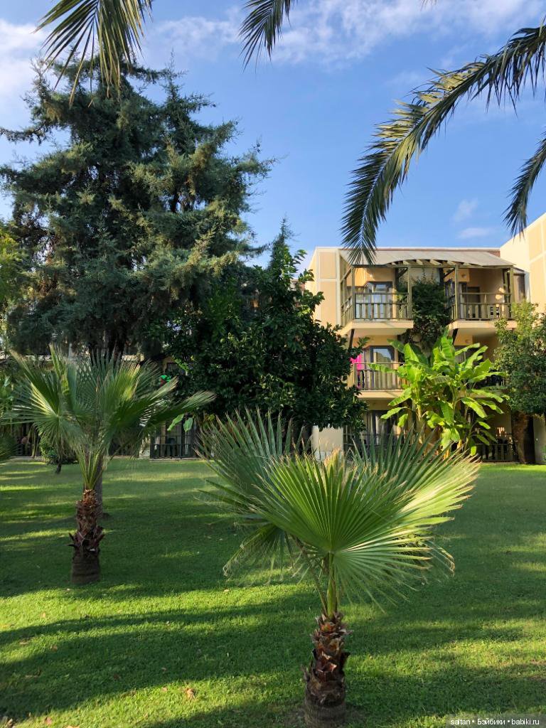 Буня и Тайто на отдыхе — Гибриды шарнирных кукол (не БЖД): подбор тела (фото 10)