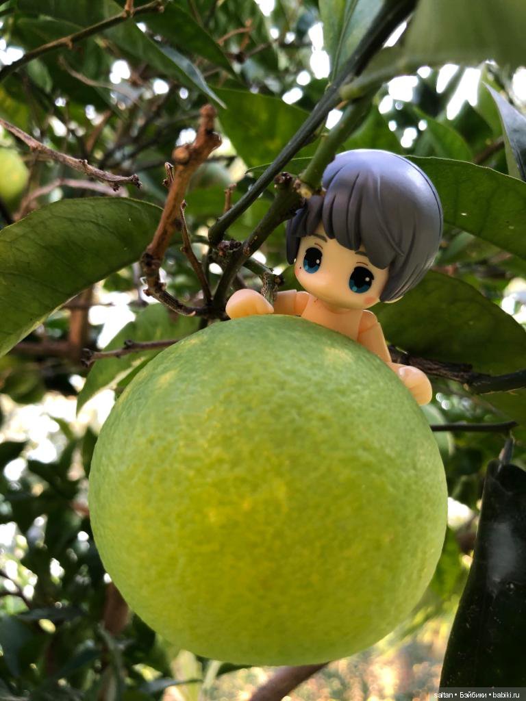 Буня и Тайто на отдыхе — Гибриды шарнирных кукол (не БЖД): подбор тела