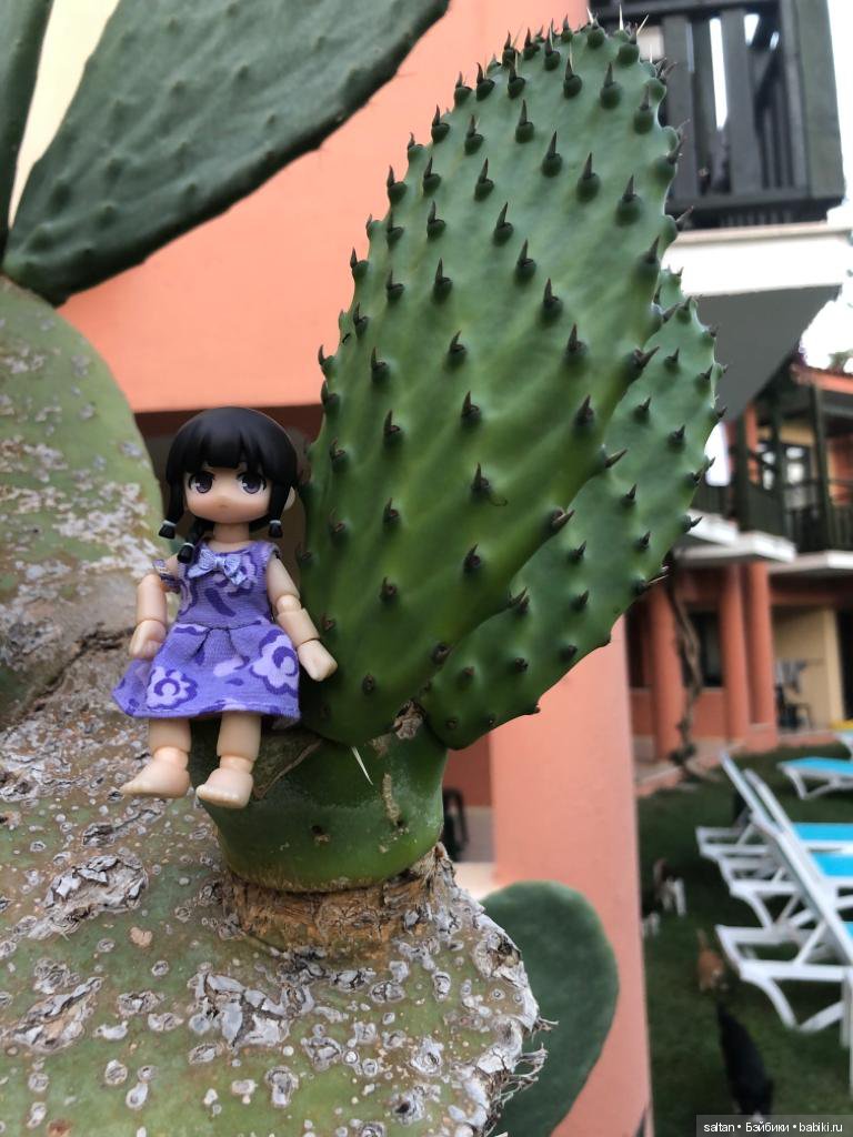 Буня и Тайто на отдыхе — Гибриды шарнирных кукол (не БЖД): подбор тела