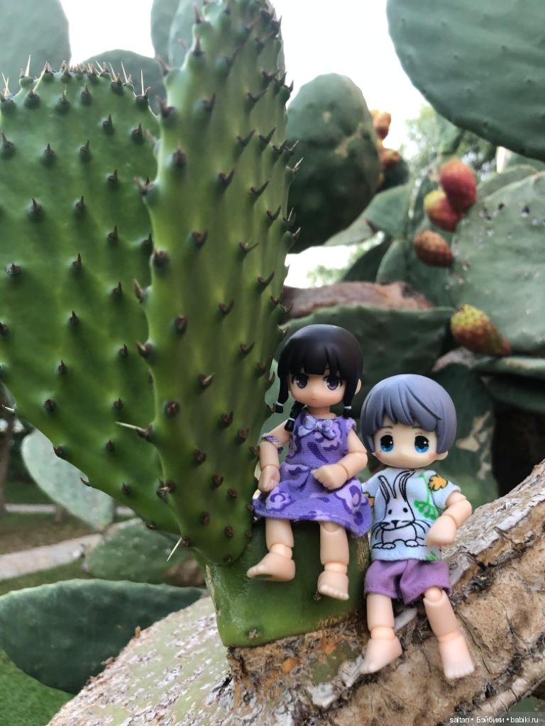 Буня и Тайто на отдыхе — Гибриды шарнирных кукол (не БЖД): подбор тела