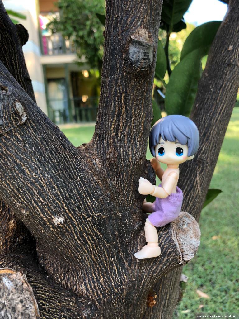 Буня и Тайто на отдыхе — Гибриды шарнирных кукол (не БЖД): подбор тела