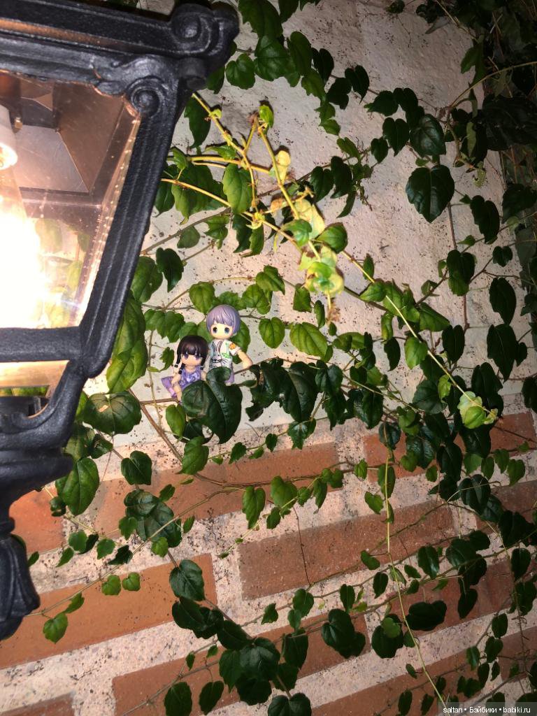 Буня и Тайто на отдыхе — Гибриды шарнирных кукол (не БЖД): подбор тела