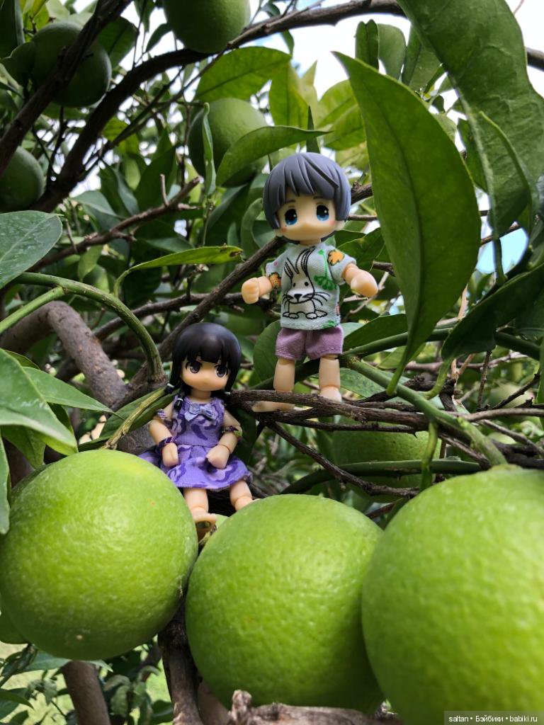 Буня и Тайто на отдыхе — Гибриды шарнирных кукол (не БЖД): подбор тела