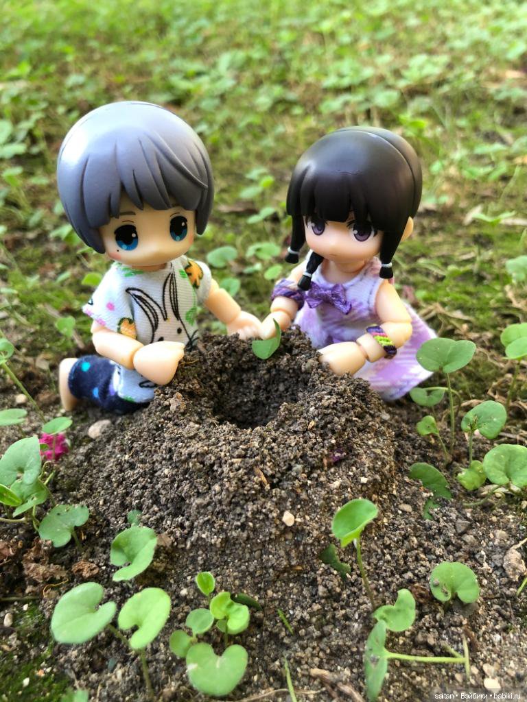 Буня и Тайто на отдыхе — Гибриды шарнирных кукол (не БЖД): подбор тела (фото 3)