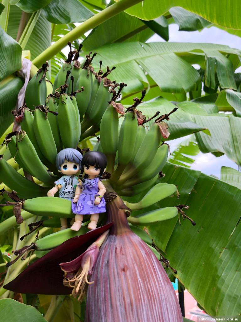 Буня и Тайто на отдыхе — Гибриды шарнирных кукол (не БЖД): подбор тела